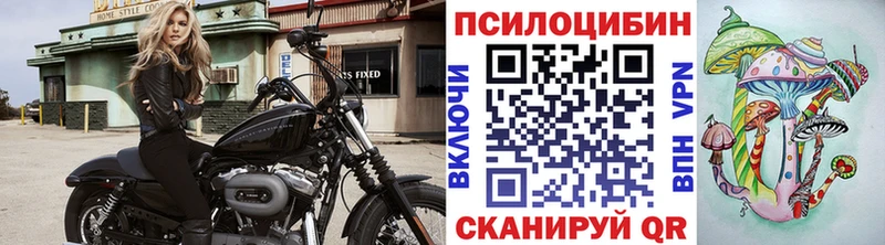 Галлюциногенные грибы прущие грибы  Хилок 